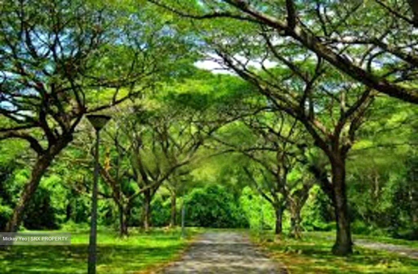 Avila Gardens (D17), Condominium #488407921